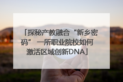 探秘产教融合“新乡密码” 一所职业院校如何激活区域创新DNA
