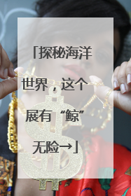 探秘海洋世界，这个展有“鲸”无险→