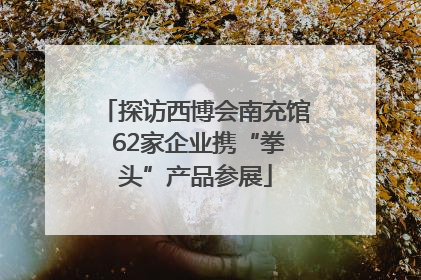 探访西博会南充馆 62家企业携“拳头”产品参展