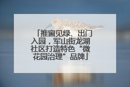 推窗见绿、出门入园，军山街龙湖社区打造特色“微花园治理”品牌