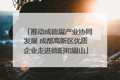 推动成德眉产业协同发展 成都高新区优质企业走进德阳和眉山