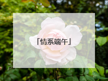 情系端午