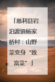 慈利县岩泊渡镇杨家桥村：山野菜变身“致富菜”