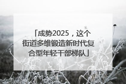 成势2025，这个街道多维锻造新时代复合型年轻干部梯队