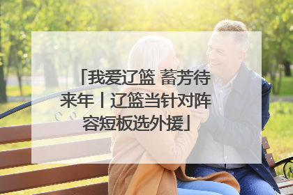 我爱辽篮 蓄芳待来年丨辽篮当针对阵容短板选外援