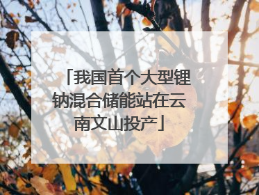 我国首个大型锂钠混合储能站在云南文山投产