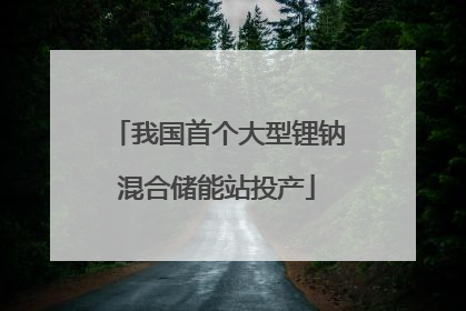 我国首个大型锂钠混合储能站投产