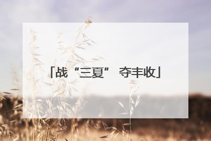 战“三夏” 夺丰收