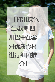 打出绿色生态牌 四川巴中在蓉对优质食材进行组团推介