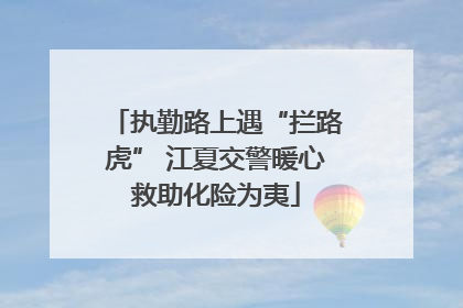 执勤路上遇“拦路虎” 江夏交警暖心救助化险为夷