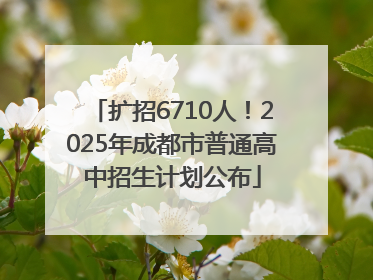 扩招6710人！2025年成都市普通高中招生计划公布