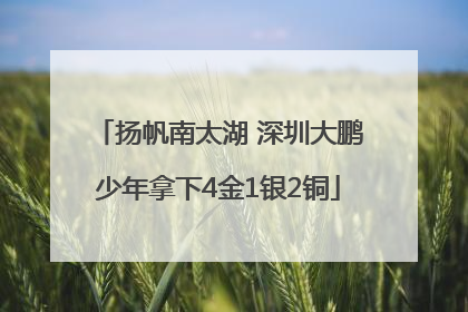 扬帆南太湖 深圳大鹏少年拿下4金1银2铜