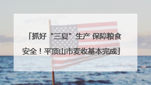 抓好“三夏”生产 保障粮食安全！平顶山市麦收基本完成