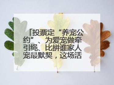投票定“养宠公约”、为爱宠做牵引绳、比拼谁家人宠最默契，这场活动有趣更有意义