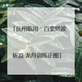 抚州临川：百桨劈波斩浪 龙舟训练正酣
