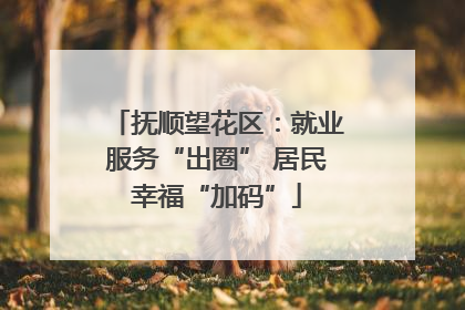 抚顺望花区：就业服务“出圈” 居民幸福“加码”