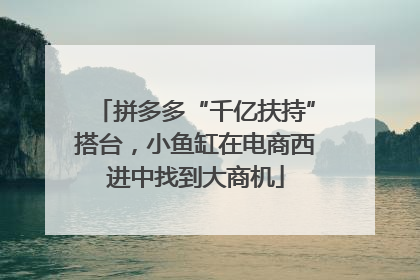 拼多多“千亿扶持”搭台，小鱼缸在电商西进中找到大商机