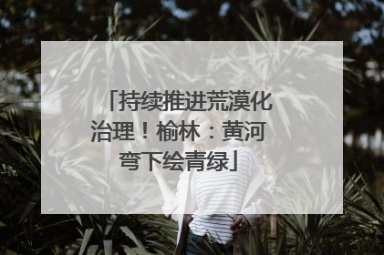 持续推进荒漠化治理！榆林：黄河弯下绘青绿
