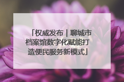 权威发布｜聊城市档案馆数字化赋能打造便民服务新模式