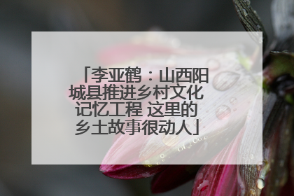 李亚鹤：山西阳城县推进乡村文化记忆工程 这里的乡土故事很动人