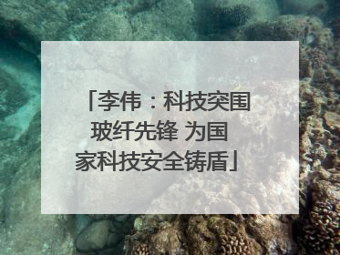 李伟：科技突围 玻纤先锋 为国家科技安全铸盾