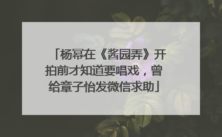 杨幂在《酱园弄》开拍前才知道要唱戏，曾给章子怡发微信求助