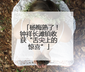 杨梅熟了！钟祥长滩镇收获“舌尖上的惊喜”