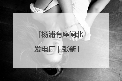 杨浦有座闸北发电厂｜张新