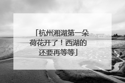 杭州湘湖第一朵荷花开了！西湖的还要再等等