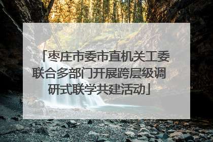 枣庄市委市直机关工委联合多部门开展跨层级调研式联学共建活动