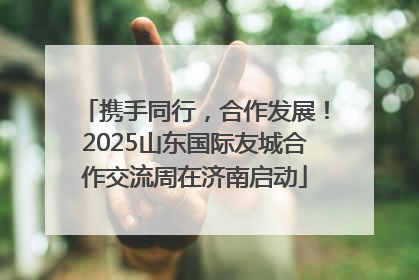 携手同行，合作发展！2025山东国际友城合作交流周在济南启动