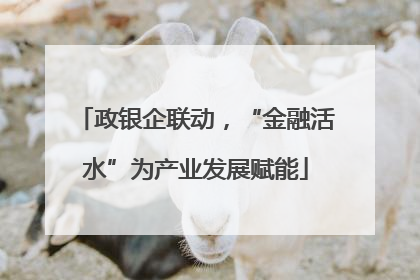 政银企联动，“金融活水”为产业发展赋能