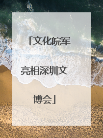 文化皖军亮相深圳文博会