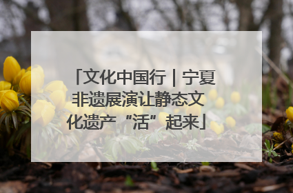 文化中国行｜宁夏 非遗展演让静态文化遗产“活”起来