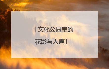 文化公园里的花影与人声