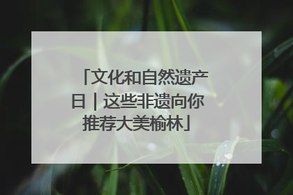 文化和自然遗产日｜这些非遗向你推荐大美榆林
