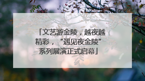 文艺游金陵，越夜越精彩，“遇见夜金陵”系列展演正式启幕