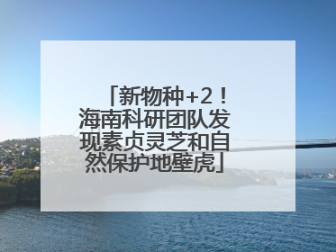新物种+2！海南科研团队发现素贞灵芝和自然保护地壁虎