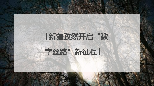 新疆孜然开启“数字丝路”新征程