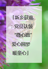 新乡获嘉：党员认领“微心愿” 爱心圆梦暖童心