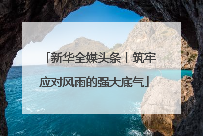 新华全媒头条丨筑牢应对风雨的强大底气