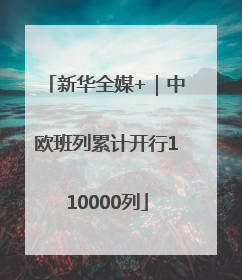 新华全媒+｜中欧班列累计开行110000列
