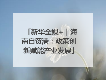 新华全媒+｜海南自贸港：政策创新赋能产业发展