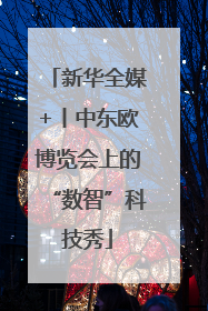 新华全媒+丨中东欧博览会上的“数智”科技秀