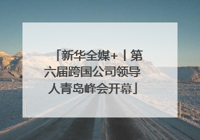 新华全媒+丨第六届跨国公司领导人青岛峰会开幕