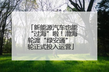 新能源汽车也能“过海”啦！渤海轮渡“绿安通” 轮正式投入运营