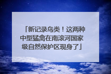 新记录鸟类！这两种中型猛禽在南滚河国家级自然保护区现身了