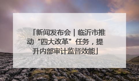 新闻发布会｜临沂市推动“四大改革”任务，提升内部审计监督效能