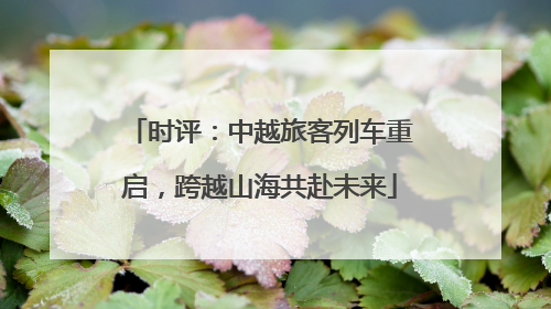 时评：中越旅客列车重启，跨越山海共赴未来