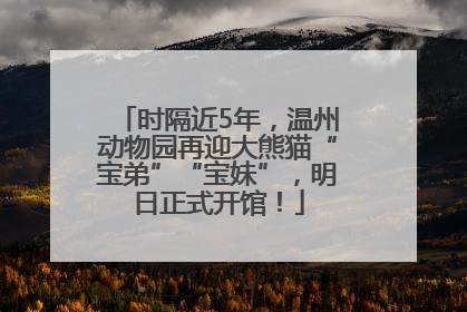 时隔近5年，温州动物园再迎大熊猫“宝弟”“宝妹”，明日正式开馆！